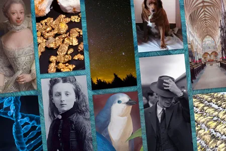 Our ten most-read stories of the year featured the author of&nbsp;Anne of Green Gables, tiny penguins, Queen Charlotte and more.
