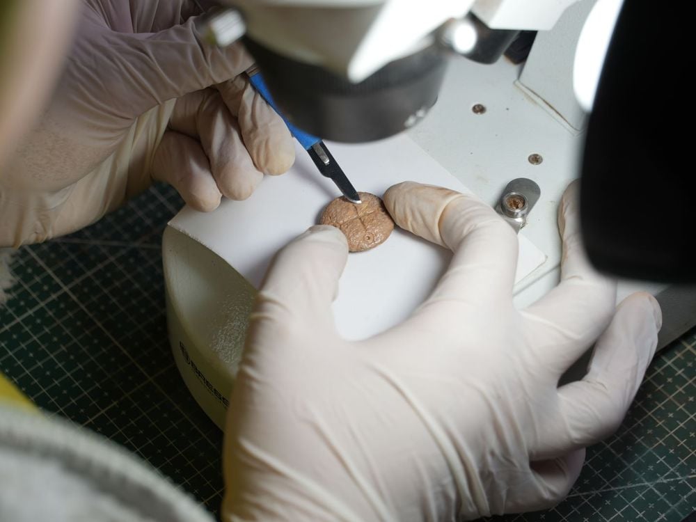 Examining token