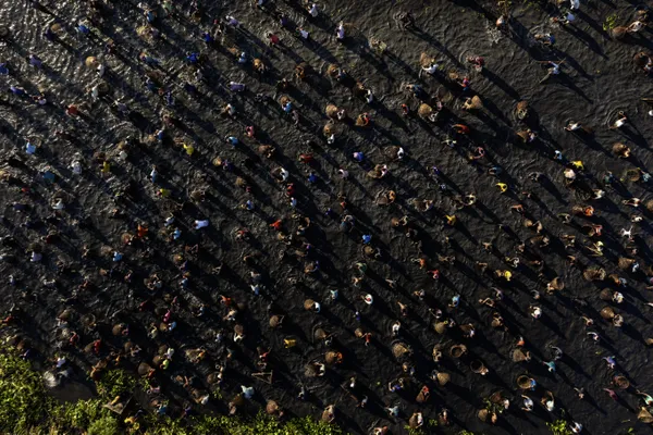 Polo Bawa-A Tradition in Motion thumbnail