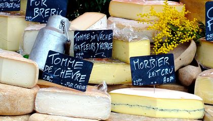 The Science Behind Your Cheese