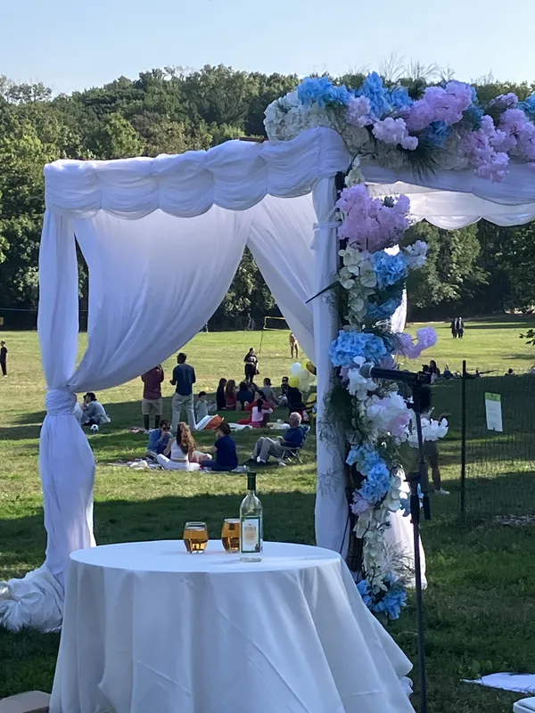 Wedding Chuppah in Prospect Park thumbnail