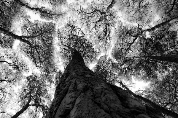 Silent Geometry thumbnail