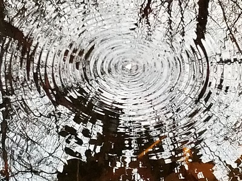 ripples on the water