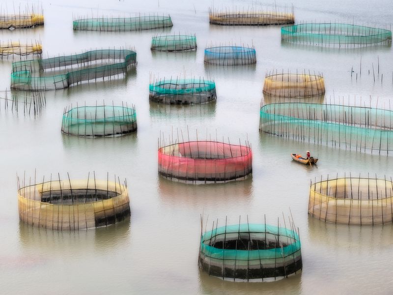 Crab Farming Smithsonian Photo Contest Smithsonian Magazine