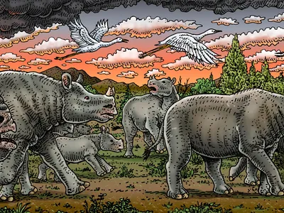 Two-horned Diceratherium rhinos