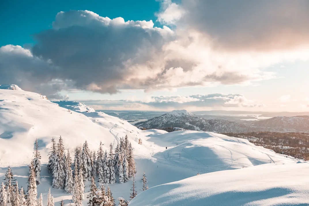 snow covered trees on a hill below a cloudy sky
