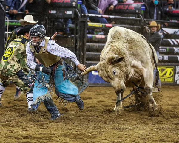 Professiona Bull Rider being chased by bucking bull thumbnail