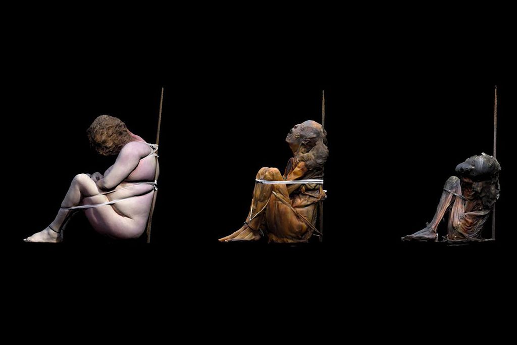 Computer generated illustration of 3 bound bodies demonstrating various stages of the breakdown of soft tissue