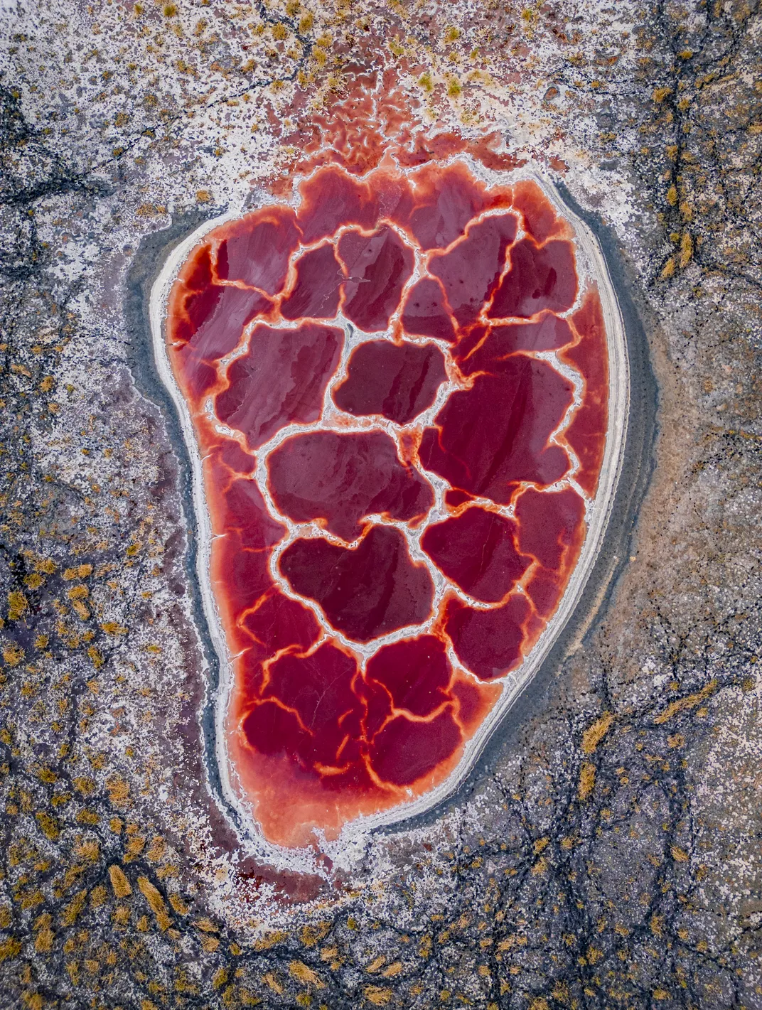 The Heart of the Earth
