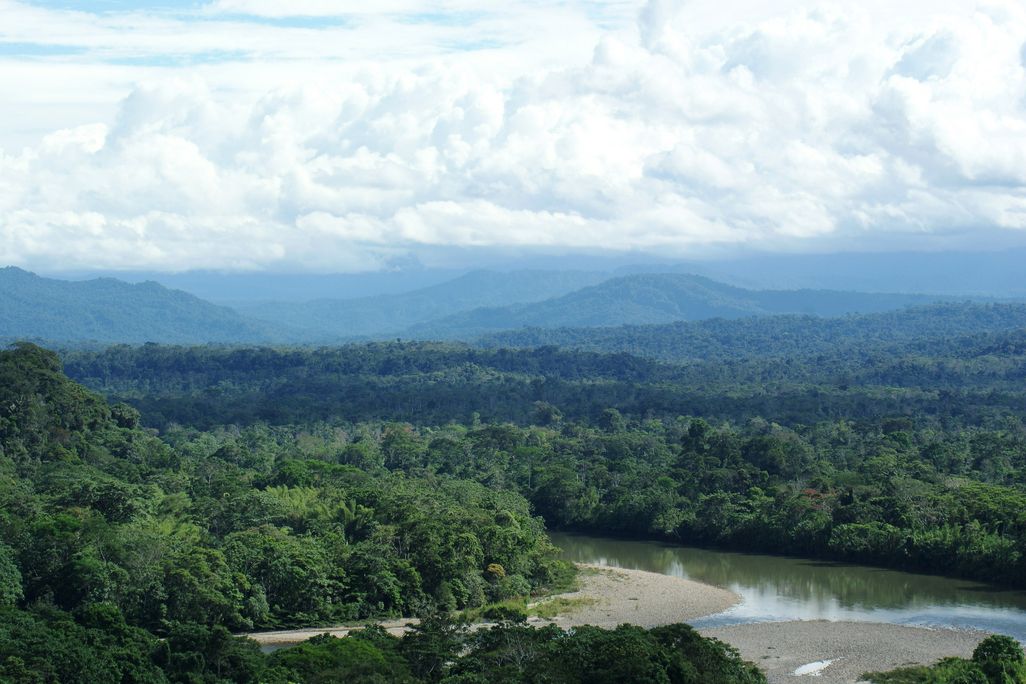 Amazon Basin