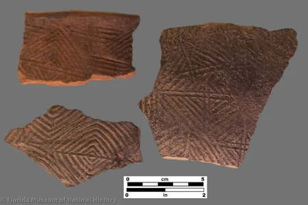 Pottery fragments from Etowah in Georgia, where people of the Mississippian culture built large earthen mounds