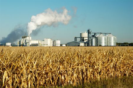 The amount of jobs and money funneling into the American Midwest could be an economic boon, says Chris Somerville. "We've gone from a couple to 150 corn-grain ethanol plants in 3 years."
