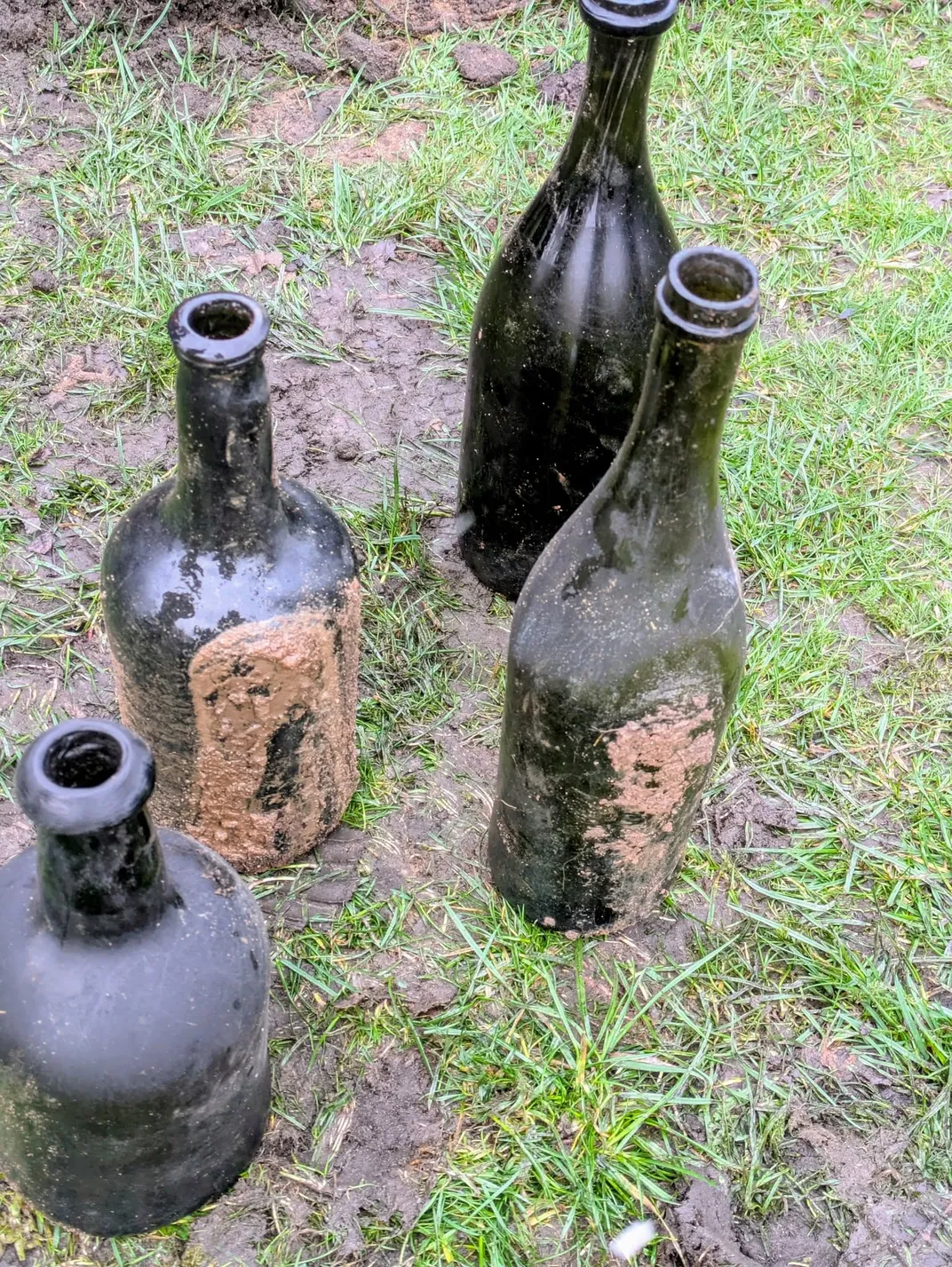 Wine bottles