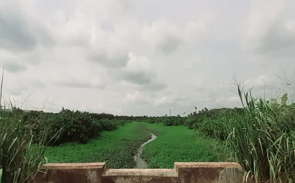 Winding Stream thumbnail