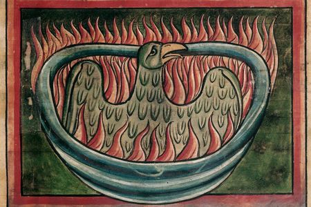A phoenix rising from the ashes in a 13th-century bestiary 