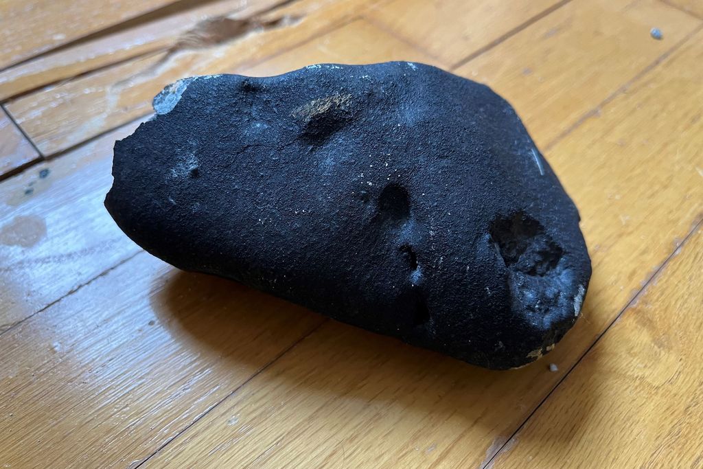 close-up of a black rock on a hardwood floor