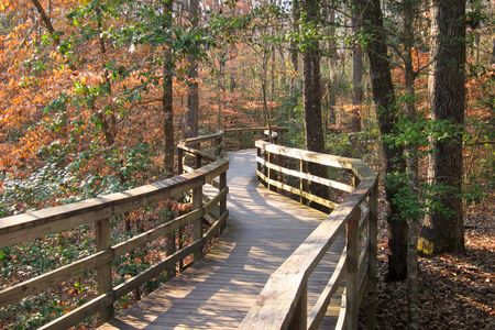 The Congaree National Park Visitor Center boardwalk 