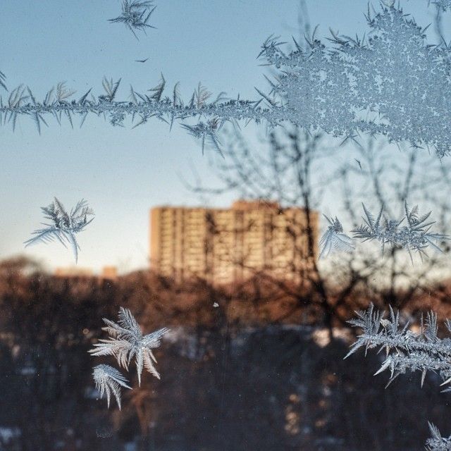 2013112610202911_26_2013_ice.jpg
