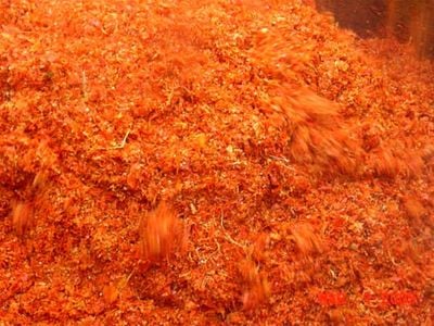 Raw tomato pomace begins Ford's process.