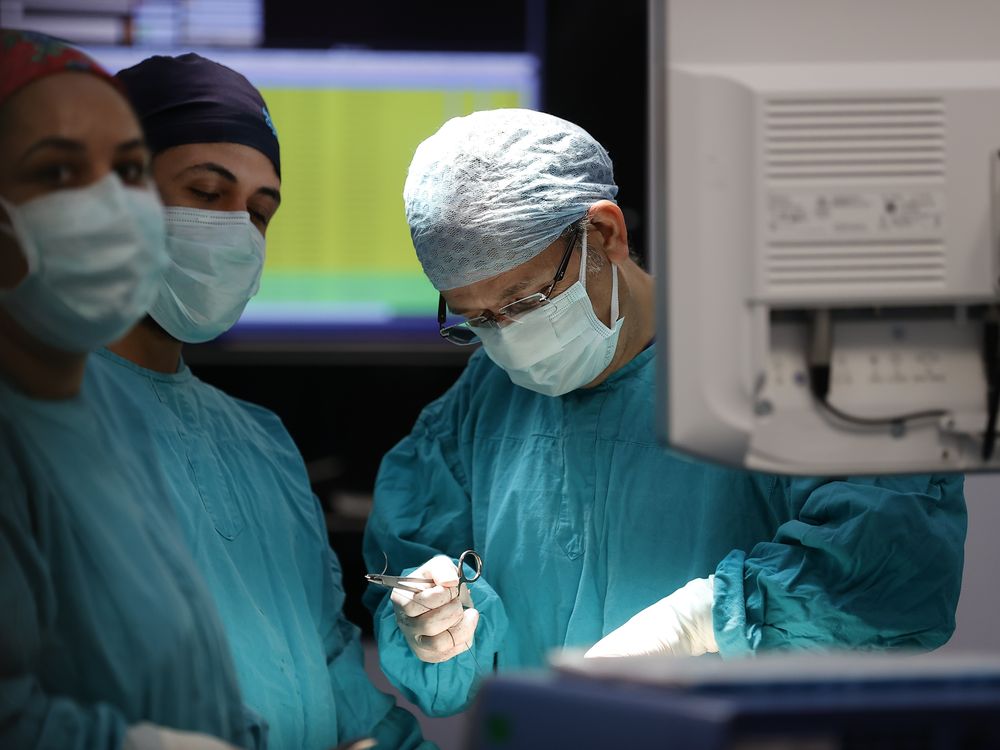 Surgeons work on an organ transplant