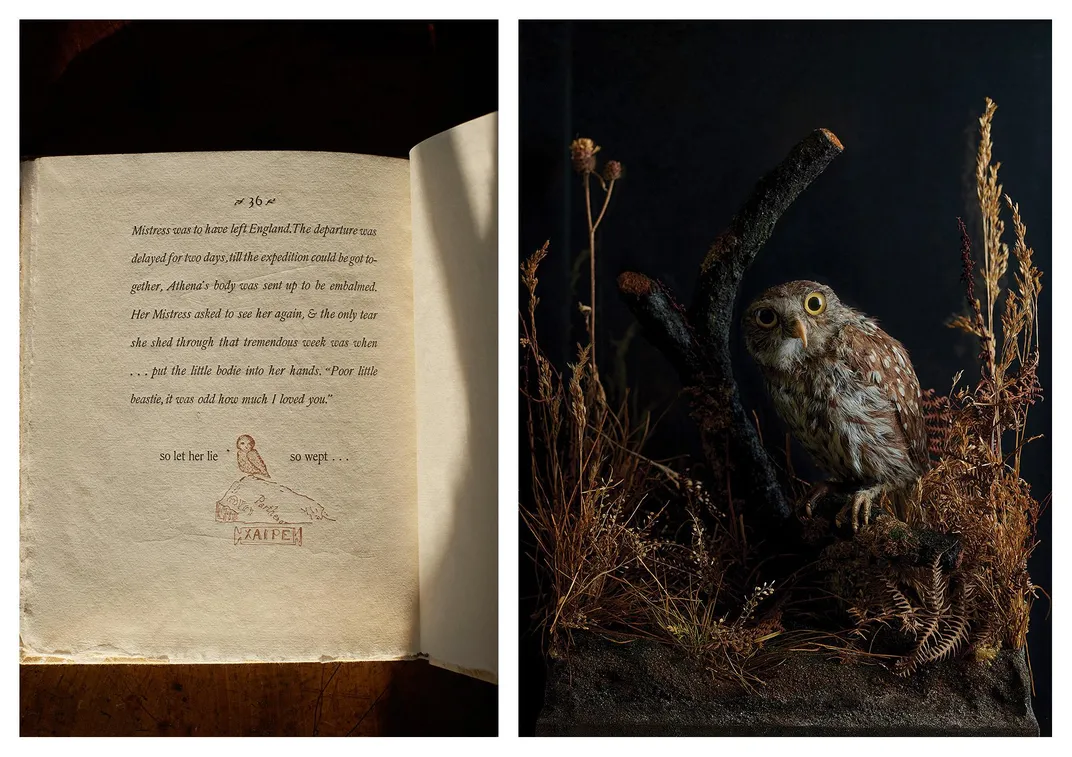 Left, a page from Florence Nightingale's Pet Owl, Athena: A Sentimental History by Parthenope, Lady Verney. Right, Athena, Florence’s owl at the Florence Nightingale Museum