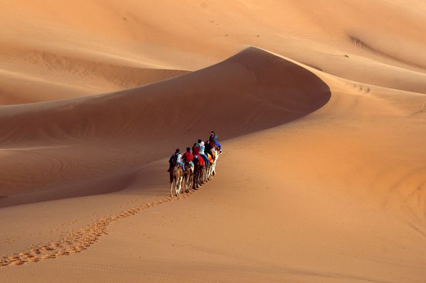 CAMEL CARAVAN - ERG CHEBBI-MOROCCO thumbnail