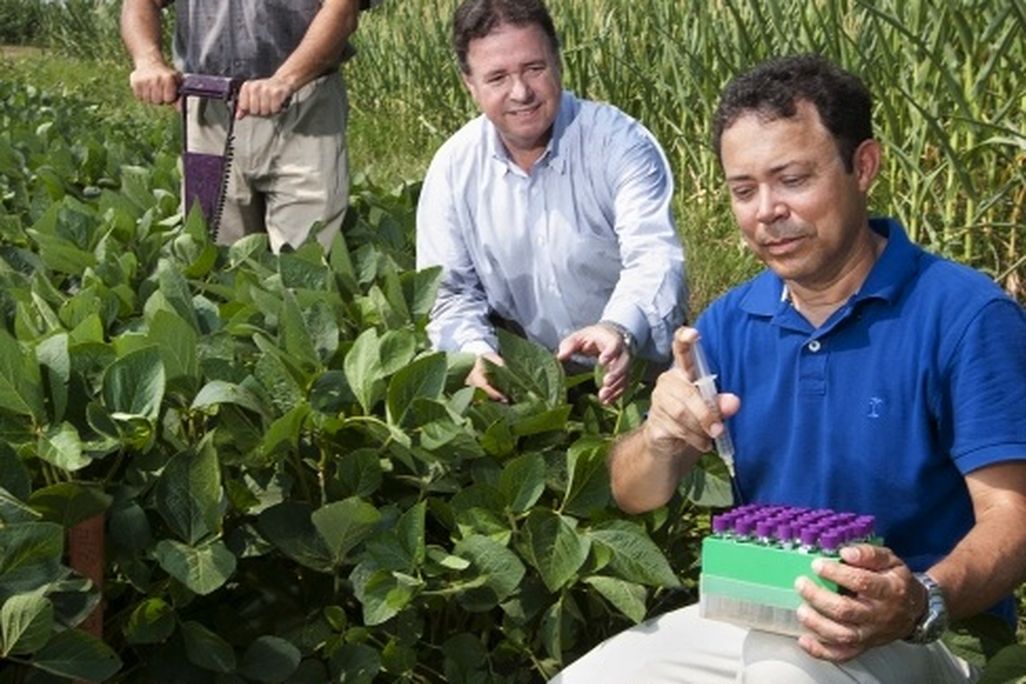 Researchers at the USDA’s expansive Beltsville Agricultural Research Center