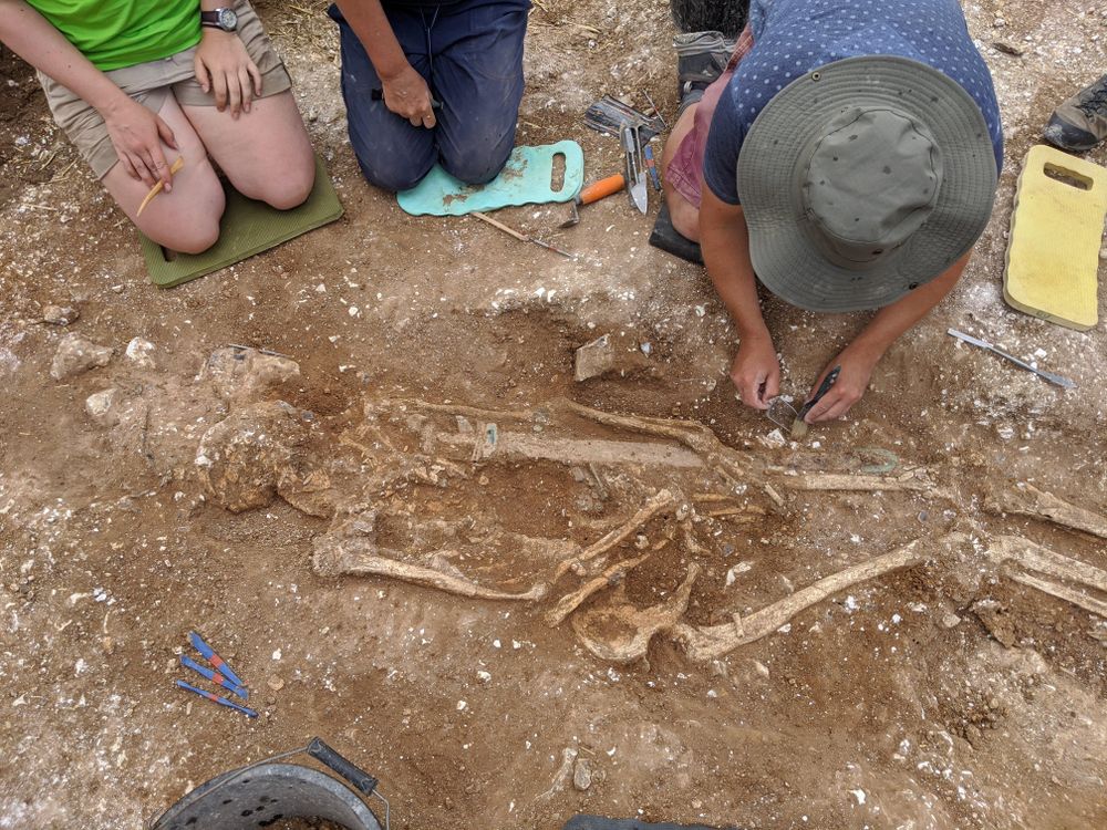 Three people kneel and bend to look at the grave; one person wearing a hat appears to be delicately touching or removing part of the skeleton