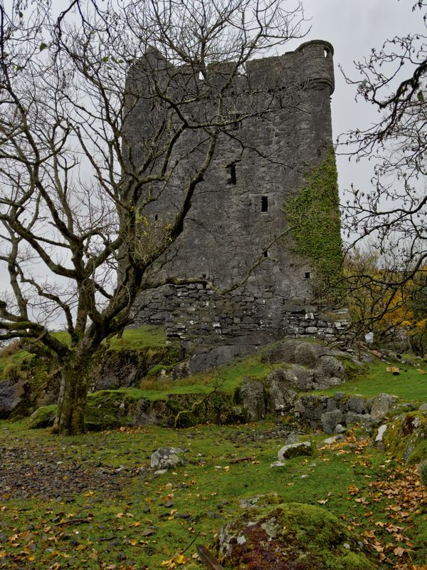 Drizzly Day at  the 1400s Moy Castle - Lochbuie, Isle of Mull - Scotland thumbnail