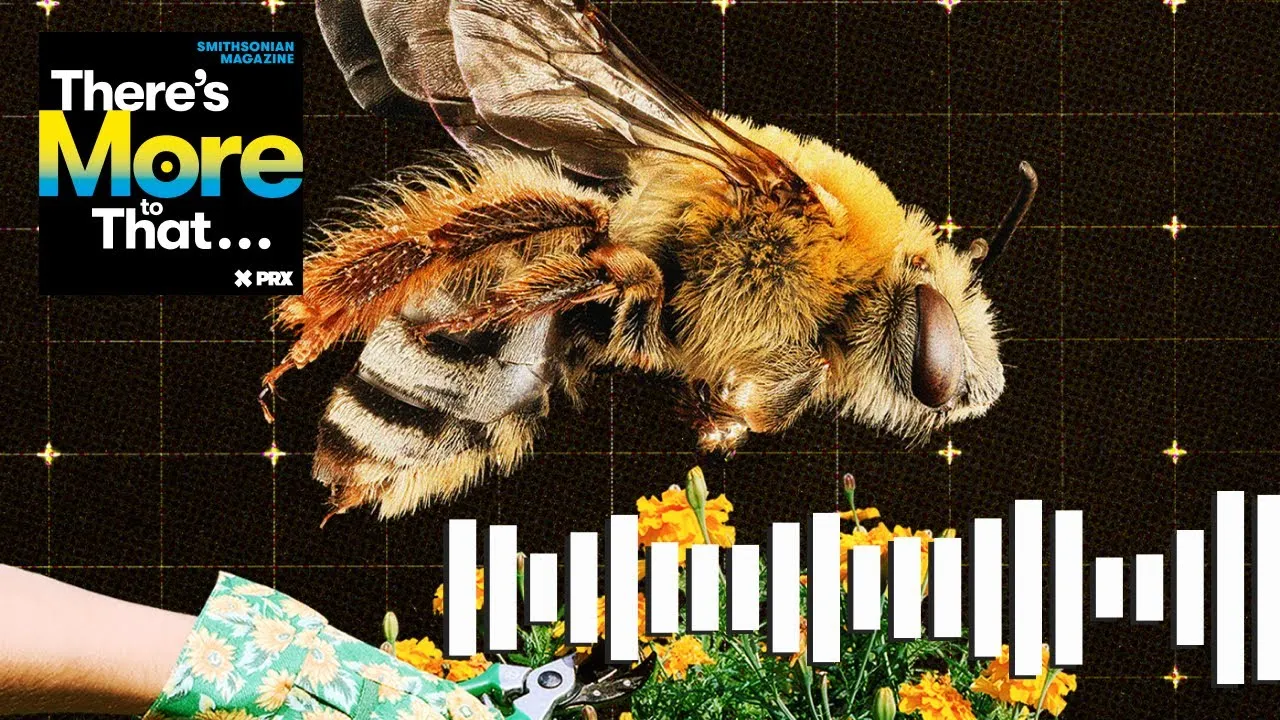 Preview thumbnail for The Swarm of People Intent on Saving Our Bees