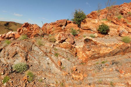 Fossils provide potential evidence that ancient life thrived Australia's Dresser Formation, a region composed of 3.5-billion-year-old hot springs.