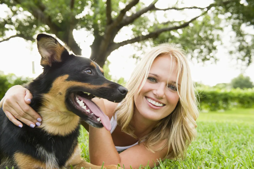 dog