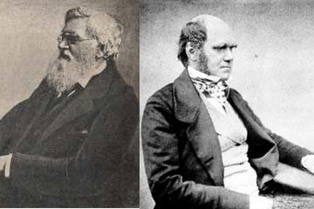 wallace_darwin.jpg