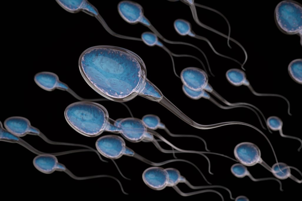 Glowing Sperm