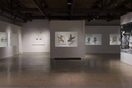 Gallery view of the Heard Museum exhibition, 