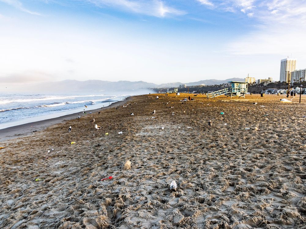 plastic on beach in santa monica