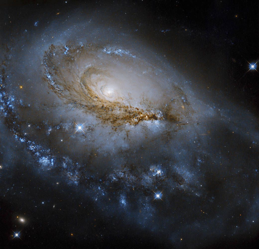 Galaxy NGC 1961
