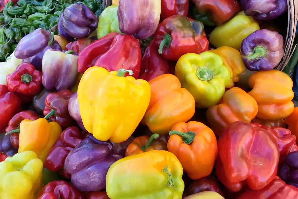 Colorful Peppers