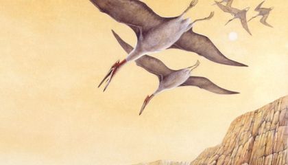 How Pterosaurs Might Inform the Next Generation of Flight