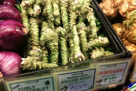 Fresh wasabi root