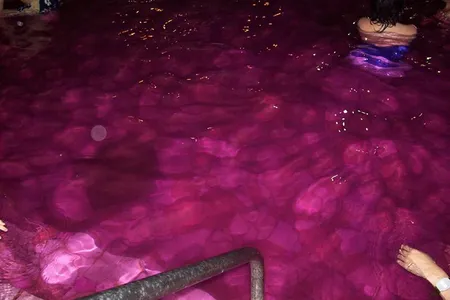 Visitors to a hot springs resort in Japan enjoy a wine bath. 