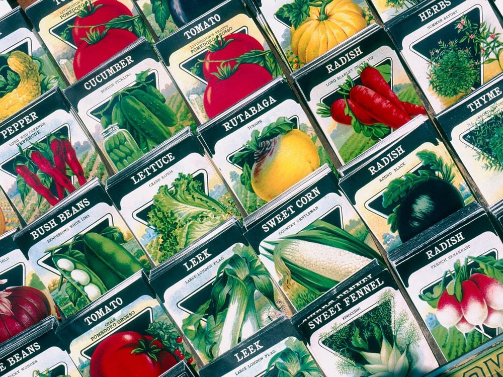 Seed Packets