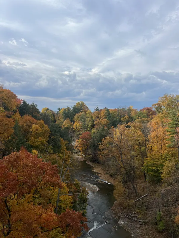 Fall Foliage thumbnail