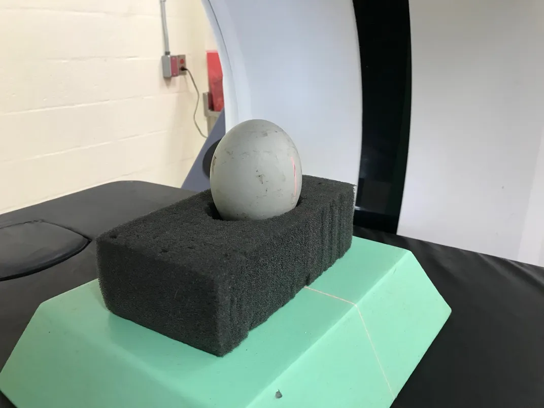 Egg atop foam block inside CT machine