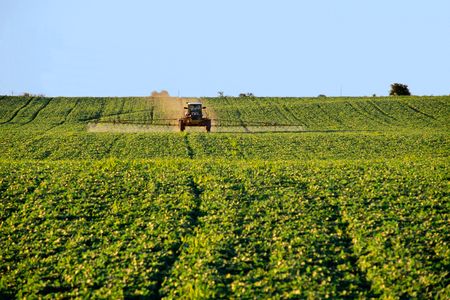 A farmer sprays soybeans with herbicide