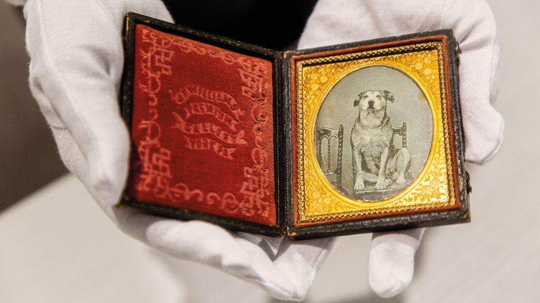 a pair of hands in white gloves hold a vintage photograph of a dog