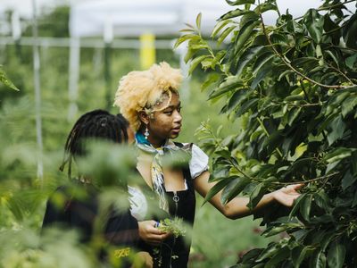 Two young people surrounded by greenery. One person has their hand outstretched towards a leafy bush in front of them.