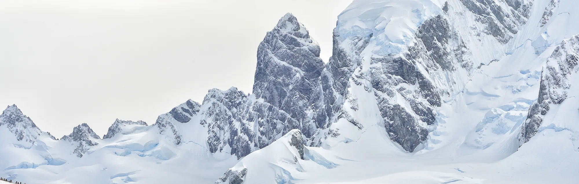 Polar Footer