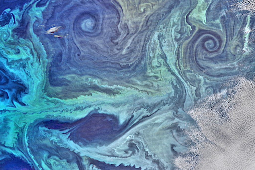 satellite view of a phytoplankton bloom in the Southern Ocean