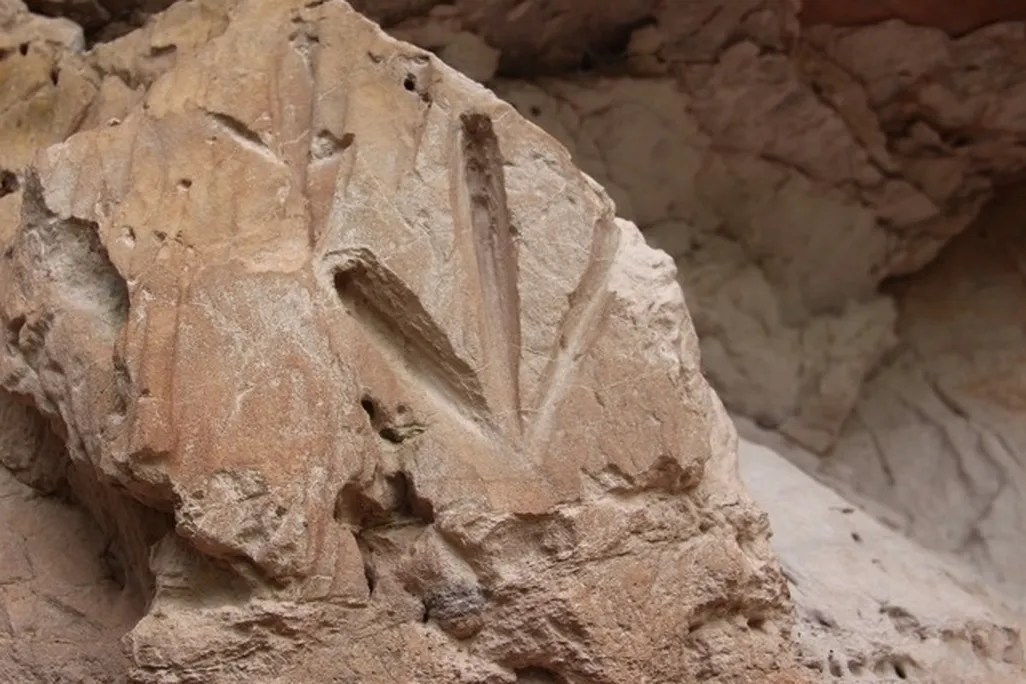 Carving